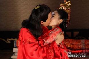 错点鸳鸯在线观看免费,穿越时空的浪漫邂逅