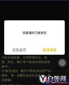 利哥爆料师傅视频,师傅视频背后的惊人真相